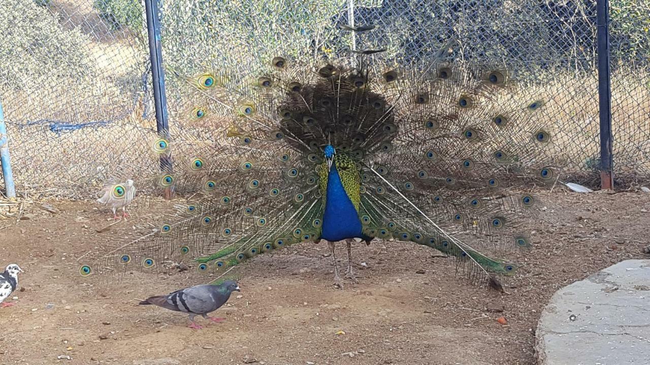 فندق Relais De Tahla Aïn Bou Mahdi المظهر الخارجي الصورة